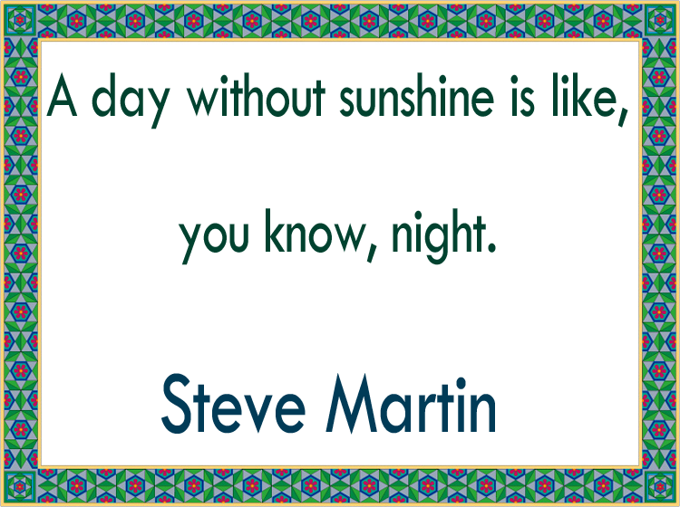 Steve Martin Funny Quotes