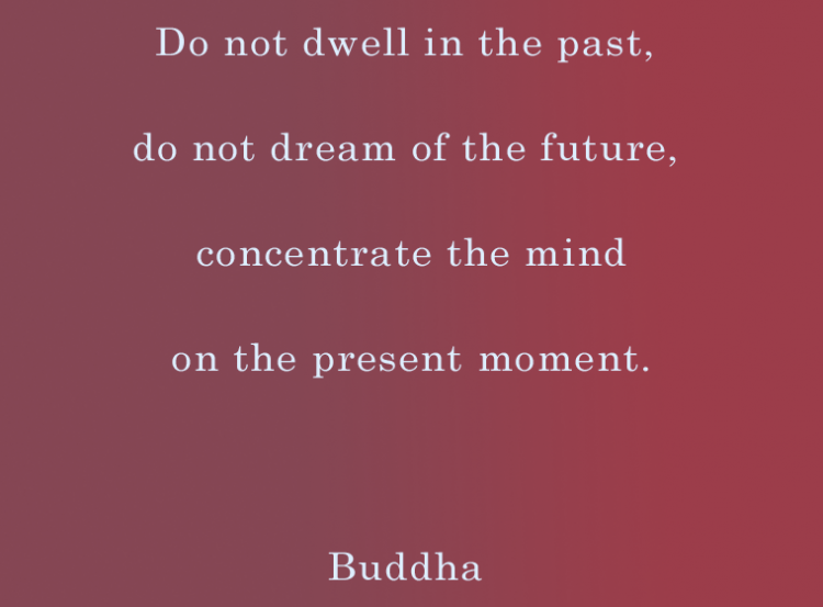 Quotes About Life Collection