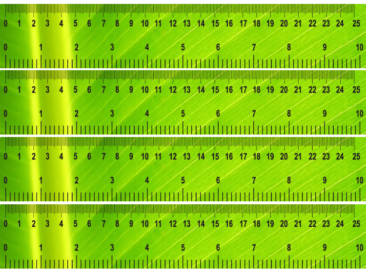 Green Shiny Printable Ruler