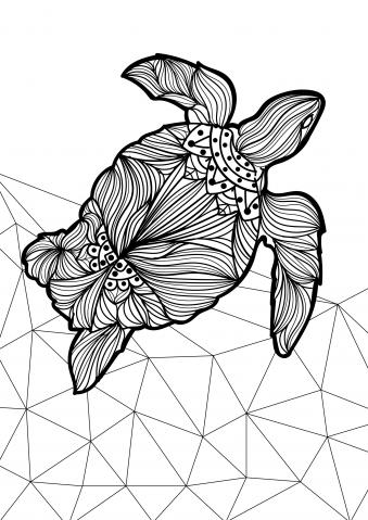 Turtle Adult Coloring Page