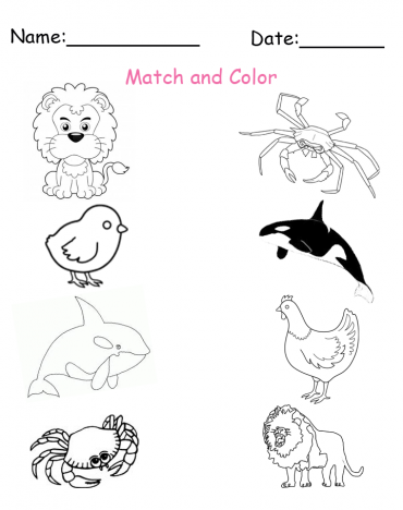 printable matching animals worksheets