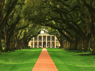 Printable Nature Pictures