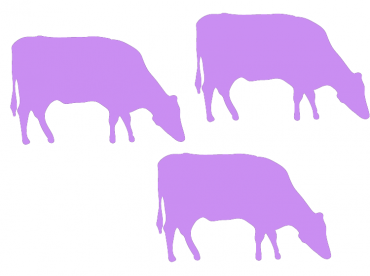 Printable Animal Stencils - Purple