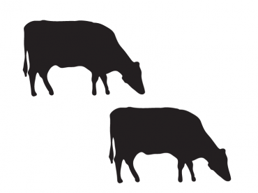 Printable Animal Stencils - Black