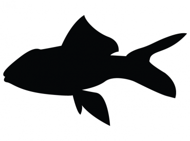 Printable Fish Stencil