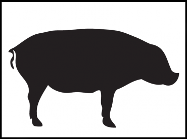 Printable Pig Stencils