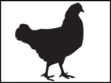 Printable Rooster Stencil